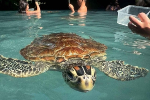 Zanzibar : baignade avec les tortues à la grotte de Salaam et visite de Stone Town