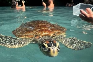 Zanzibar: mergulho com tartarugas na Gruta de Salaam e passeio pela Cidade de Pedra
