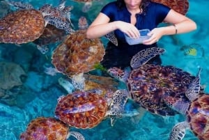 Занзибар: купание с черепахами, лес Джозани и посещение ресторана The Rock/обед