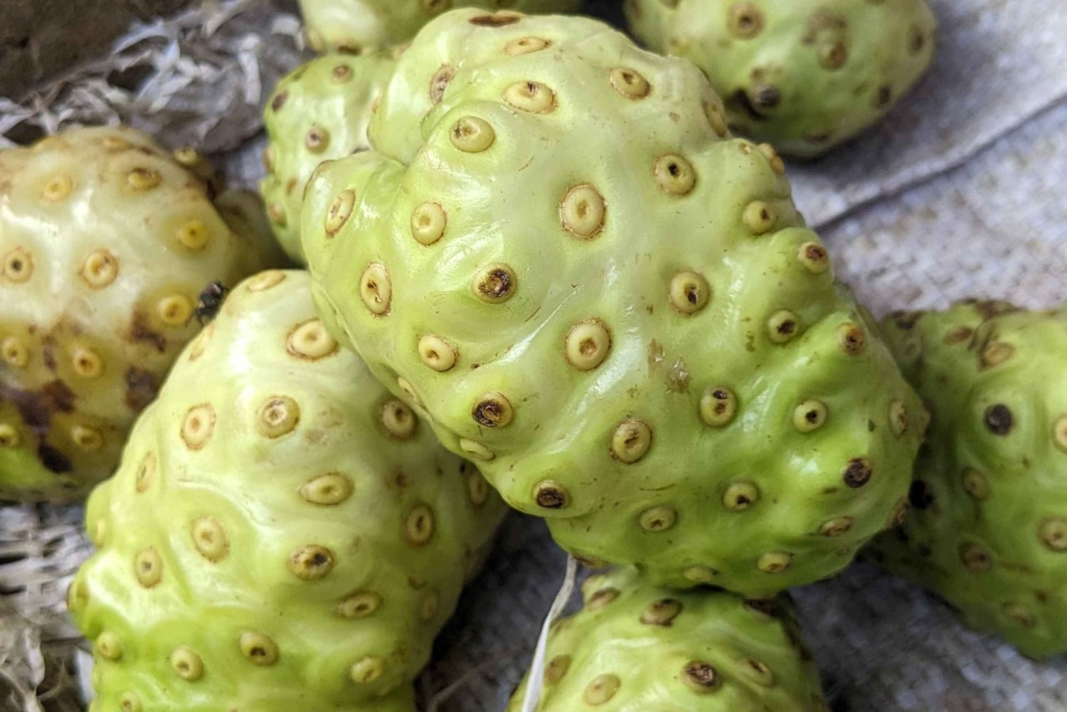 ザンジバル：隠された物語を解き明かし、現地の女性をエンパワーメント