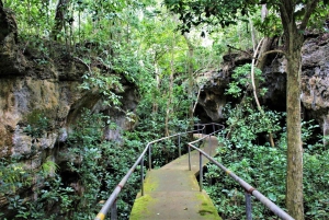 Zanzibar: Safari Blue Cruise with Snorkeling & Lunch