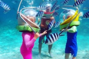 Zanzibar: Undervandseventyr