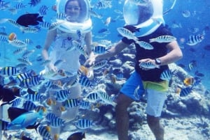 Zanzibar: Undervandseventyr