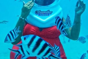 Zanzibar: Undervandseventyr