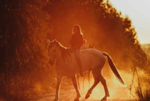 Zanzibar: unieke paardrijtocht bij zonsondergang op Kendwa Beach