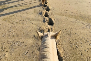 Zanzibar: unieke paardrijtocht bij zonsondergang op Kendwa Beach