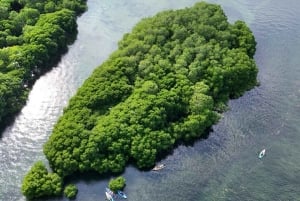 Zanzibar: Uzi Island Cultural Village Tour