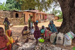 Zanzibar: Uzi Island Cultural Village Tour