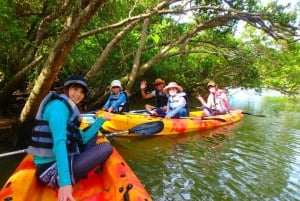 Zanzibar: Uzi Island Cultural Village Tour