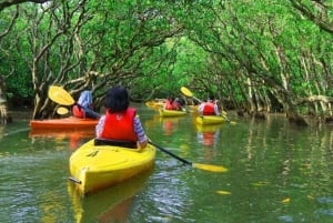 Zanzibar: Uzi Island Cultural Village Tour