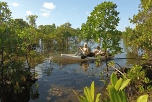 Zanzibar: Uzi Island Kayak Expedition