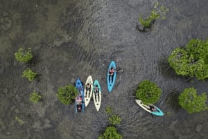 Zanzibar: Uzi Island Kayak Expedition
