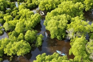 Zanzibar: Uzi Island Kayak Expedition