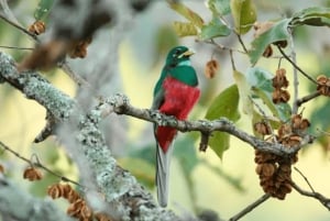 Zanzibar: Uzi Island Kayak Expedition