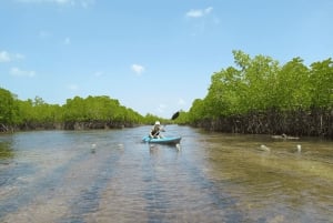 Zanzibar: Uzi Island Kayak Expedition
