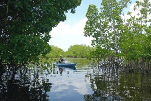 Zanzibar: Uzi Island Kayak Expedition