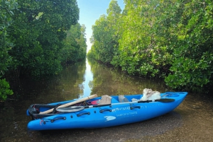 Zanzibar: Uzi Island Kayak Expedition