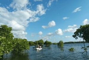 Zanzibar: Uzi Island Kayak Expedition