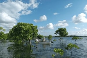 Zanzibar: Uzi Island Kayak Expedition