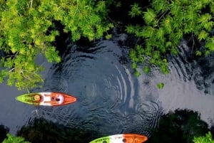 ザンジバル：ウジ島マングローブカヌーツアー（ガイド付き）