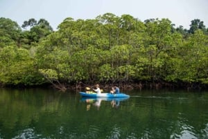 ザンジバル：ウジ島マングローブカヌーツアー（ガイド付き）