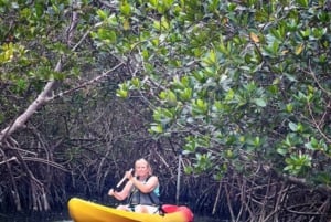 ZANZIBAR: Mangrove-kajaktocht met lunch