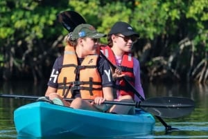 ZANZIBAR : aventure en kayak dans la mangrove d'Uzi et visite du village