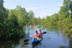 ZANZIBAR : aventure en kayak dans la mangrove d'Uzi et visite du village