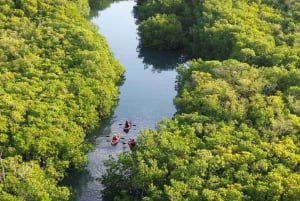 ZANZIBAR: Uzi Mangrove Kayaking & Village tour