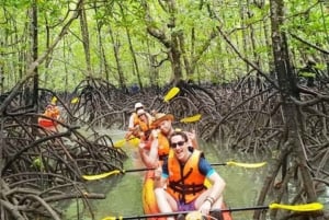 ZANZIBAR: Uzi Mangrove Kayaking & Village tour