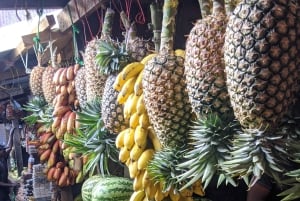 Zanzibar: Landsby- og steinbytur med henting