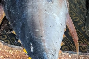 Zanzibar: Landsby- og steinbytur med henting