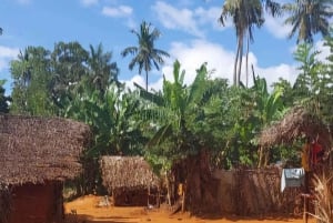 Zanzibar: Landsby- og steinbytur med henting