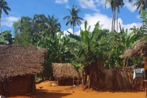 Zanzibar: Landsby- og steinbytur med henting