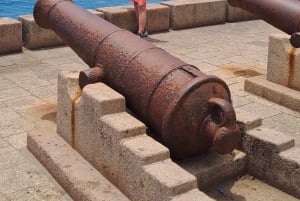 Zanzibar: Landsby- og steinbytur med henting