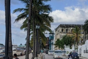 Zanzibar: Landsby- og steinbytur med henting