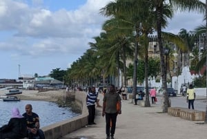 Zanzibar: Landsby- og steinbytur med henting