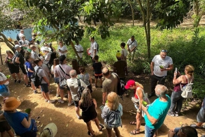 Zanzibar : visite de la ferme Village Green avec dégustation d'épices