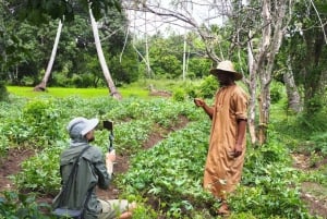 Zanzibar : visite de la ferme Village Green avec dégustation d'épices