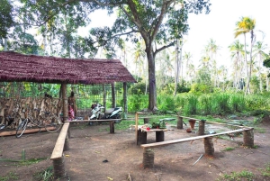 Zanzibar : visite de la ferme Village Green avec dégustation d'épices