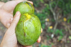 Sansibar: Village Green Farm -kierros ja mausteiden maistelu