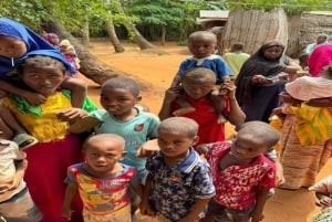 Zanzibar: Landsbytur med lokalt liv