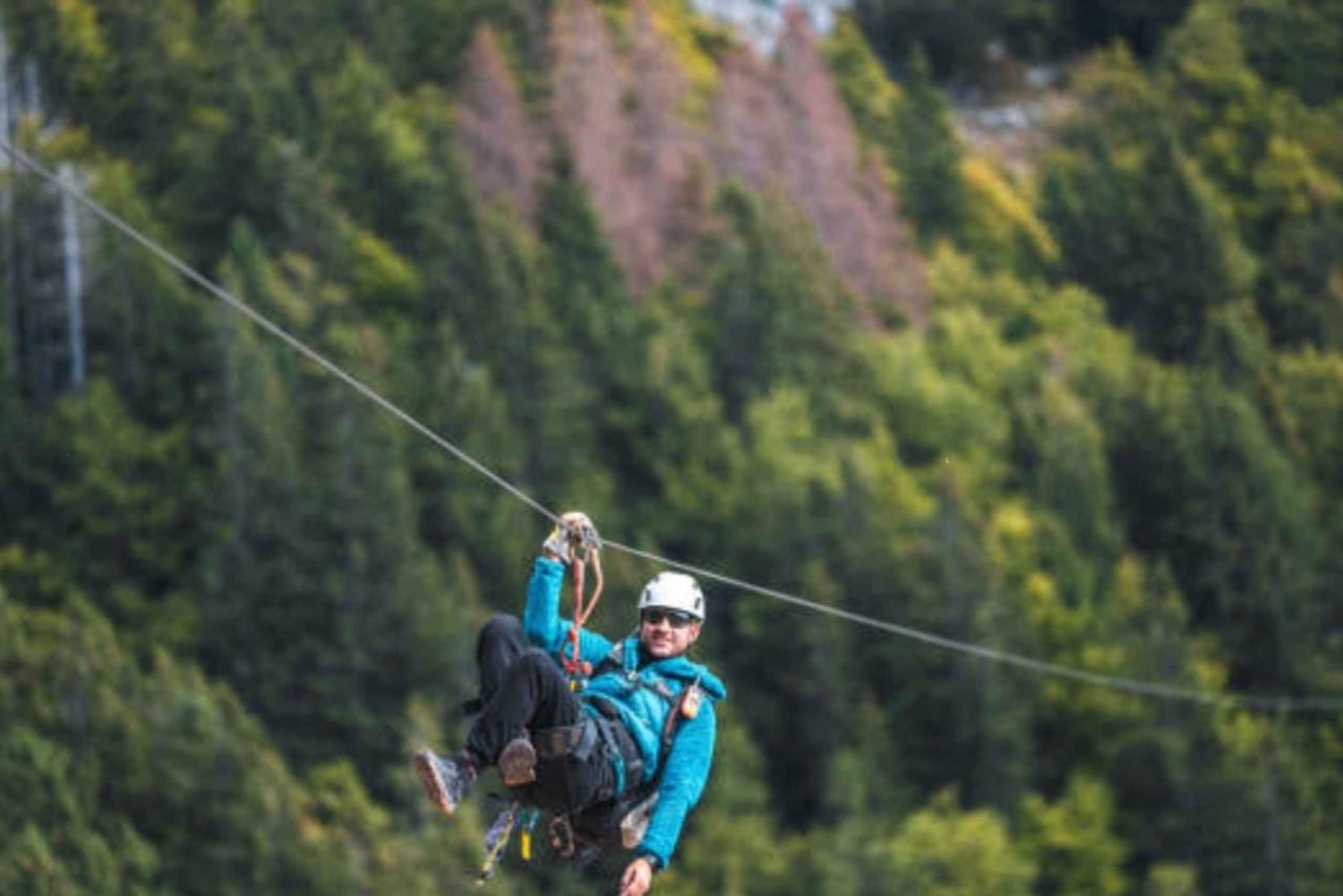 ザンジバル：ジップラインアドベンチャー＆マシンギニの森を探索しましょう。