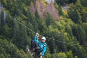 ザンジバル：ジップラインアドベンチャー＆マシンギニの森を探索しましょう。