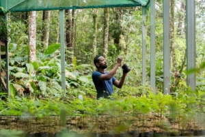 Zanzibar: Zipline Adventure in masingini forest tour