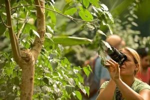 Zanzibar: Zipline Adventure in masingini forest tour