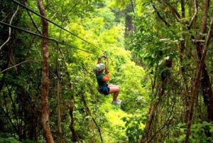 Zanzibar: Zipline Adventure in masingini forest tour
