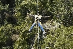 Sansibar: Zipline- und Masingini-Wald-Abenteuerreise
