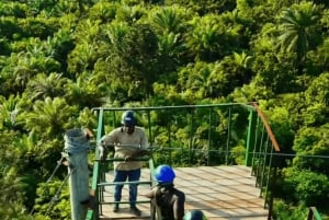 Sansibar: Zipline- und Masingini-Wald-Abenteuerreise