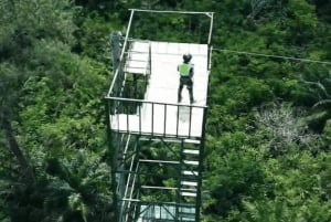 Sansibar: Zipline- und Masingini-Wald-Abenteuerreise